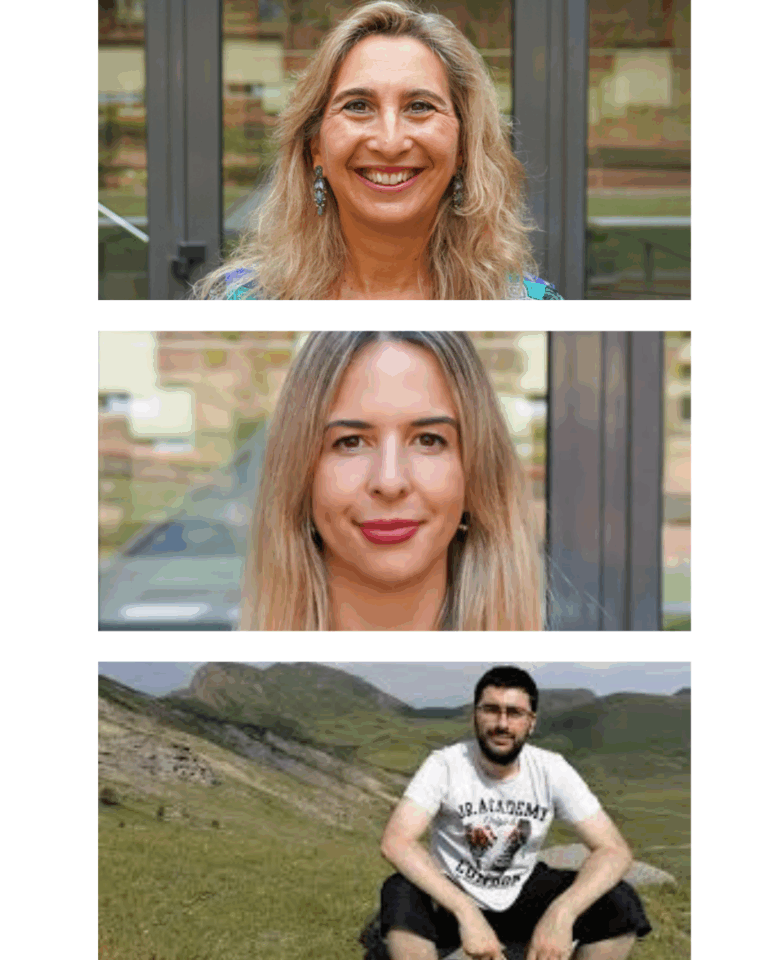 Colaboración externa con el proyecto LEWESFT